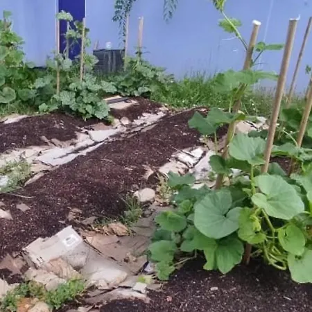 LABENNE-1 chb accès Piscine jardin au calme-centre Séjour chez l'habitant *